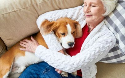 L’IMPORTANCE DES ANIMAUX DE COMPAGNIE POUR NOS AINÉS